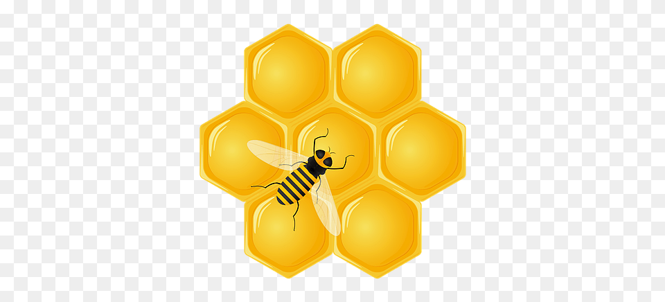 Honey, Food, Honeycomb, Animal, Bee Png