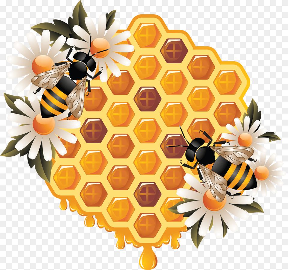 Honey, Honey Bee, Animal, Bee, Invertebrate Free Png
