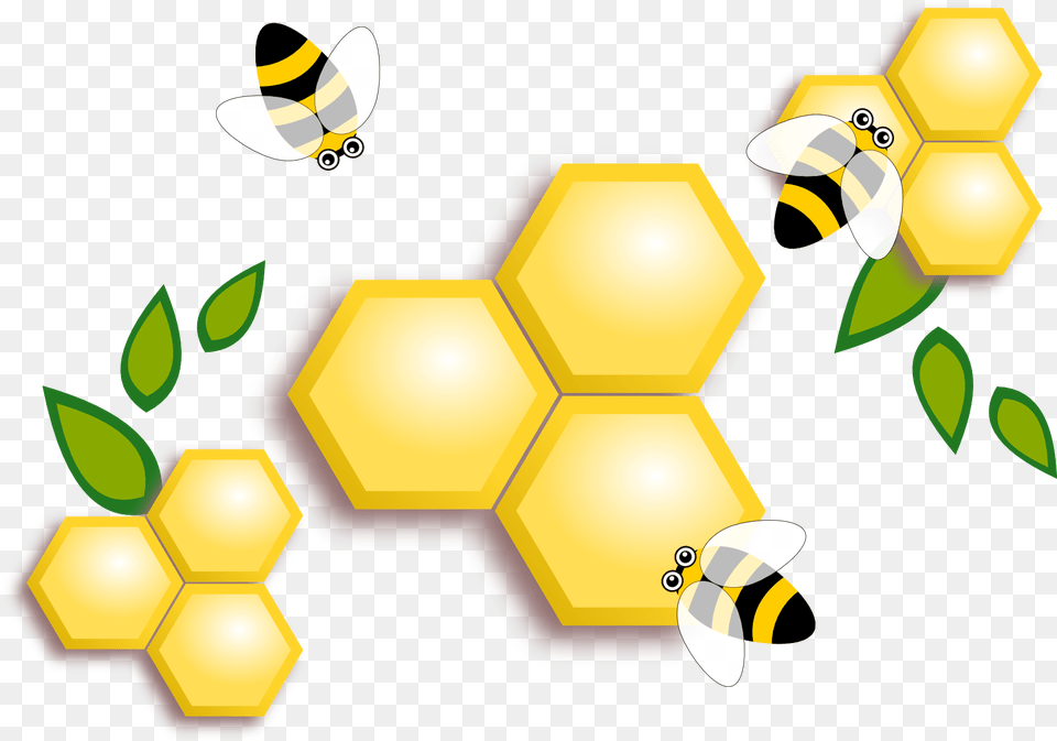 Honey, Animal, Bee, Invertebrate, Insect Free Png Download