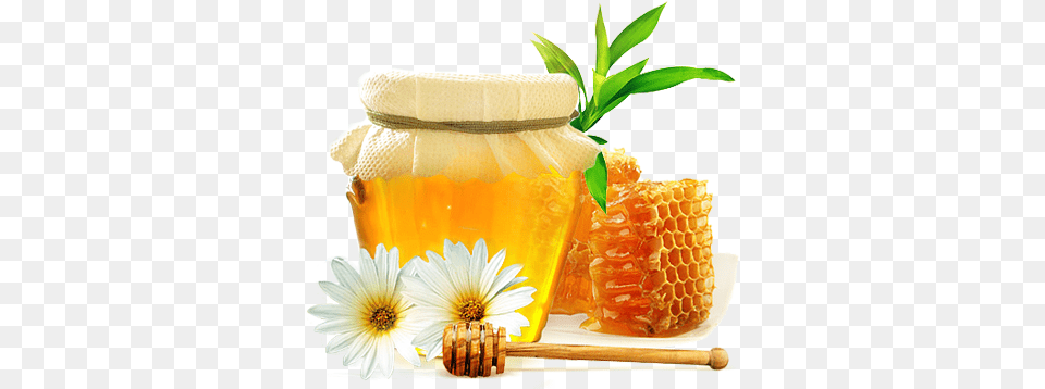 Honey, Food, Honeycomb Png