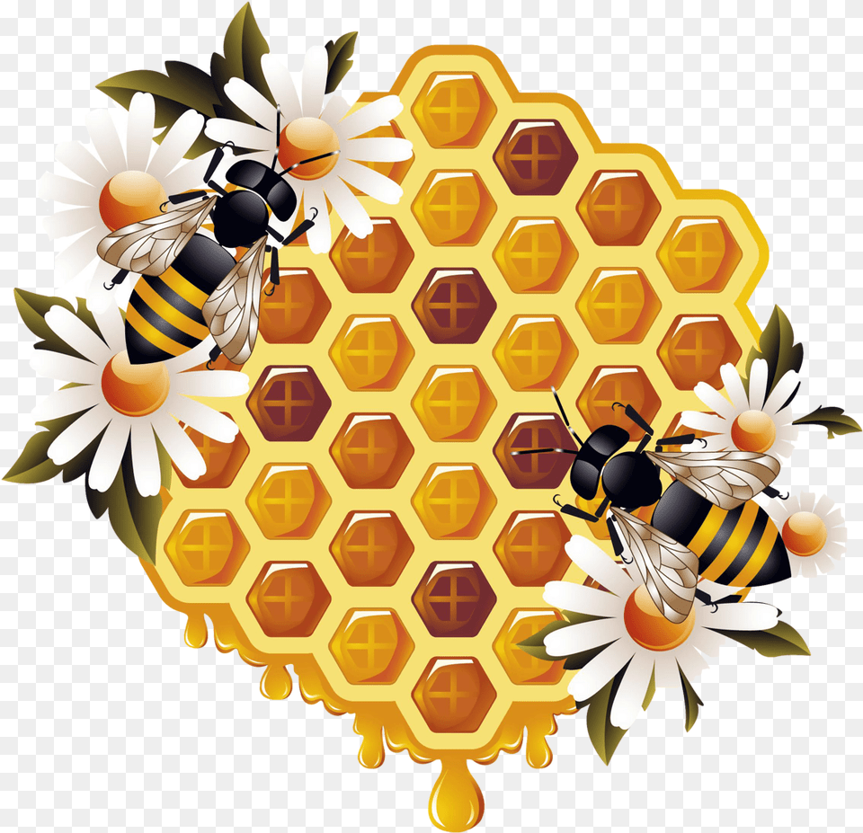 Honey And Bee, Animal, Honey Bee, Insect, Invertebrate Free Transparent Png