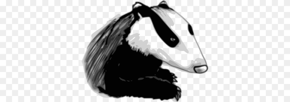 Honey Badger European Badger Drawing Wolverine Transparent Badger Clipart Black And White, Animal, Wildlife, Mammal, Baby Png