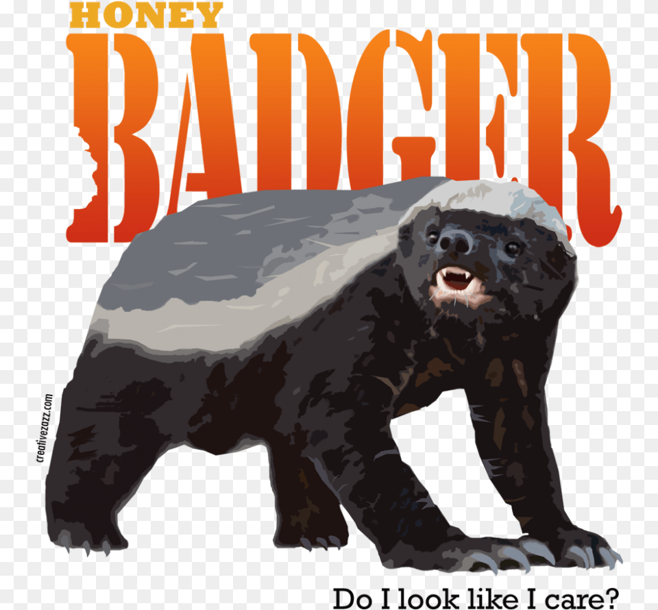 Honey Badger Honey Badger, Animal, Wildlife, Mammal, Bear Free Transparent Png