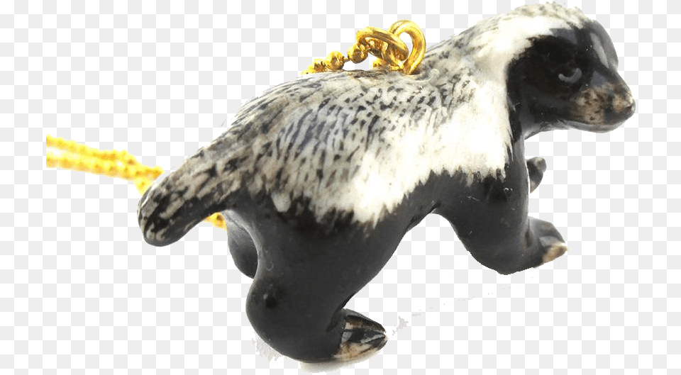 Honey Badger Pics Necklace, Animal, Bird, Wildlife, Mammal Png