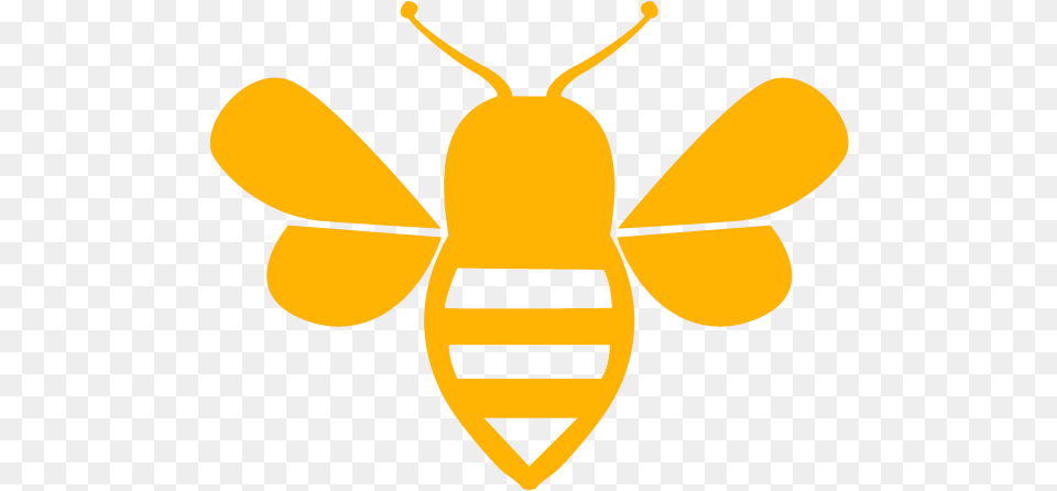 Honey Bee, Animal, Insect, Invertebrate, Wasp Free Transparent Png