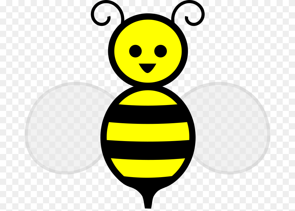 Honey Bee, Animal, Insect, Invertebrate, Wasp Free Png Download
