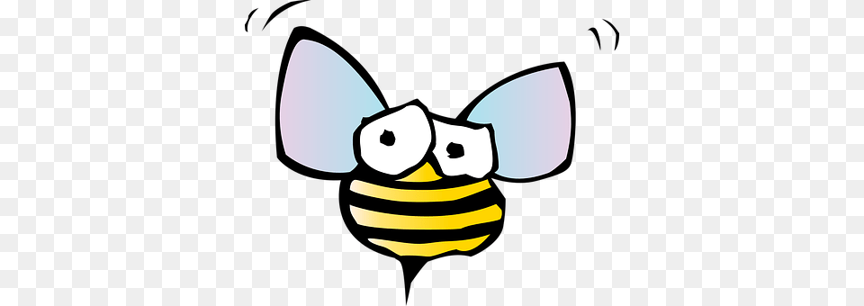 Honey Bee Animal, Wasp, Insect, Invertebrate Png