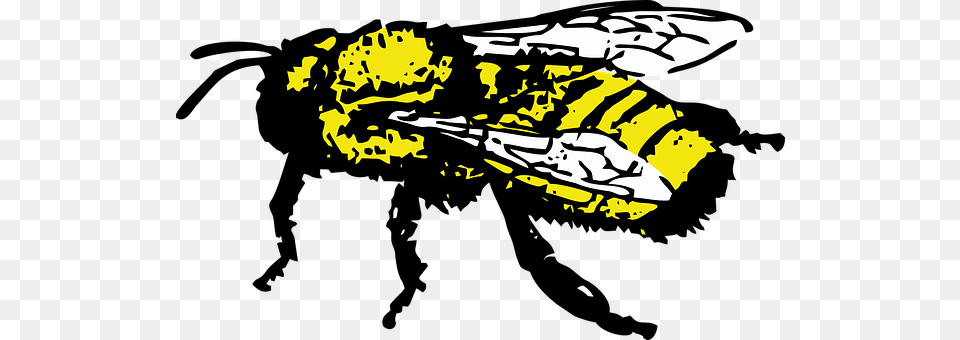 Honey Bee Animal, Insect, Invertebrate, Wasp Png Image