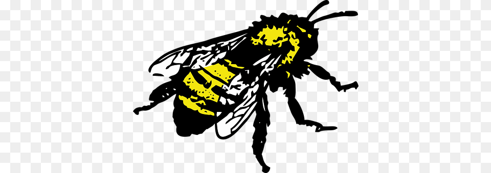 Honey Bee Animal, Insect, Invertebrate, Wasp Png
