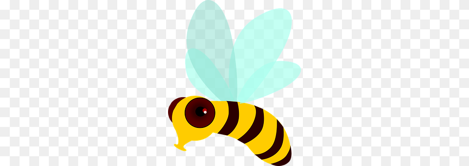 Honey Bee Animal, Insect, Invertebrate, Wasp Png