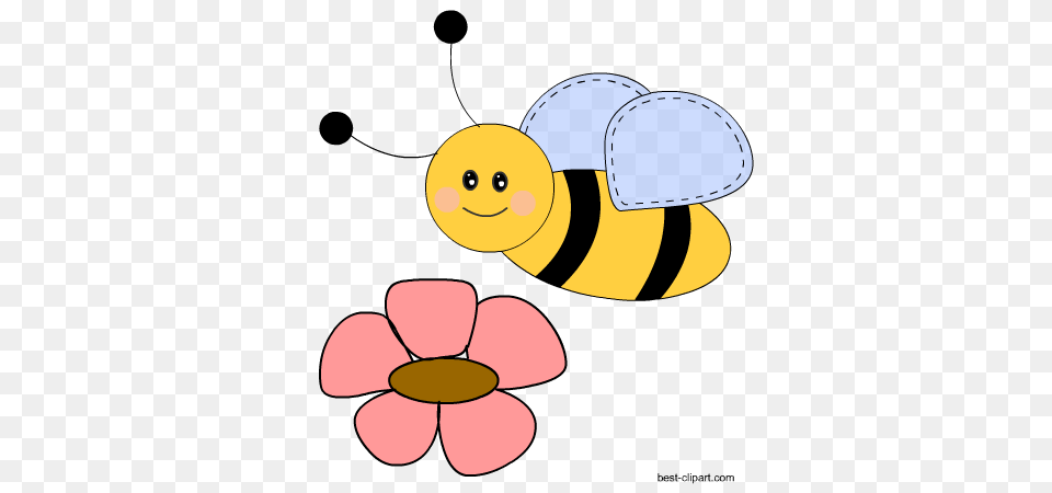 Honey Bee And Beehive Clip Ar, Animal, Face, Head, Insect Png Image