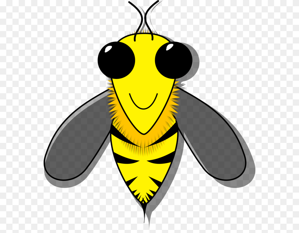 Honey Bee Beehive Queen Bee Beeswax, Animal, Insect, Invertebrate, Wasp Free Png