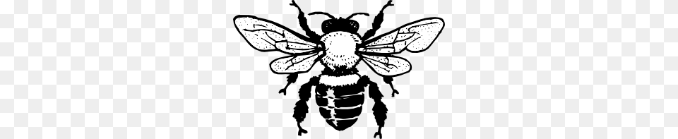 Honey Bee Clip Art, Animal, Invertebrate, Insect, Honey Bee Png Image