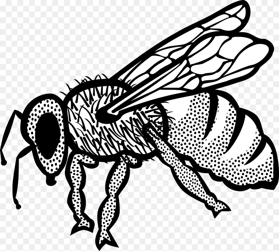 Honey Bee Clip Art Ar, Animal, Wasp, Invertebrate, Insect Png