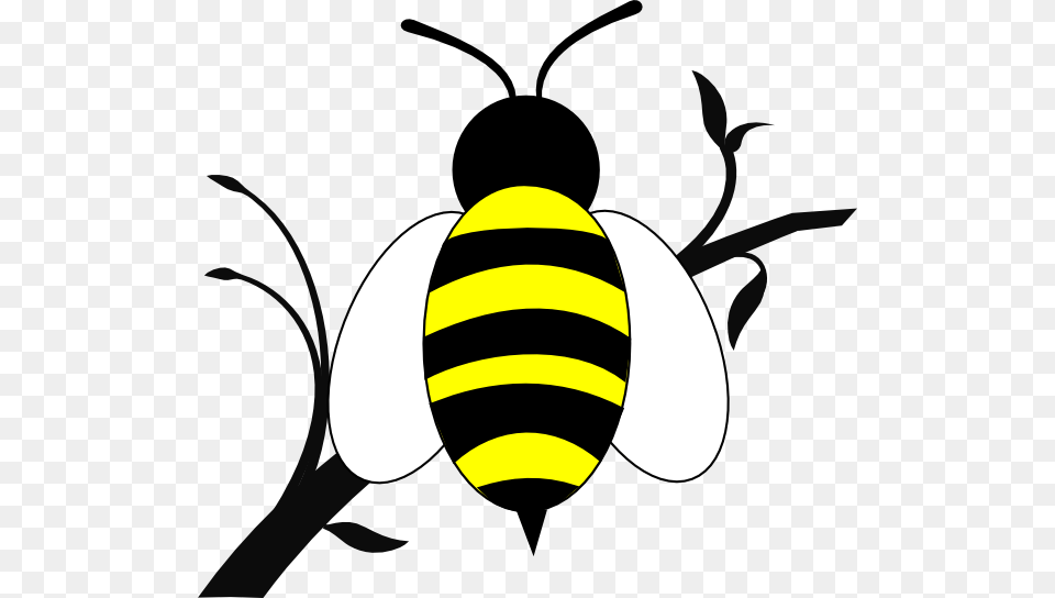 Honey Bee Clip Art Honey Bee Over Branch Clip Art, Animal, Insect, Invertebrate, Wasp Free Png Download