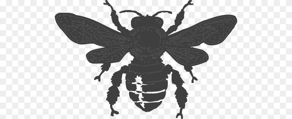 Honey Bee Clip Arts Download, Animal, Stencil, Silhouette, Wasp Free Transparent Png