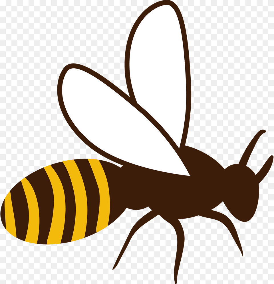 Honey Bee Clipart, Animal, Insect, Invertebrate, Wasp Free Png Download