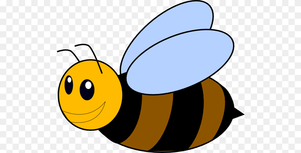 Honey Bee Clipart, Animal, Honey Bee, Insect, Invertebrate Png