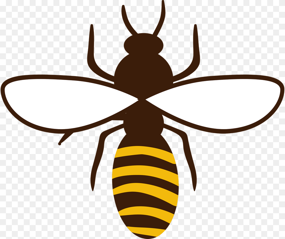Honey Bee Clipart, Animal, Invertebrate, Insect, Wasp Png