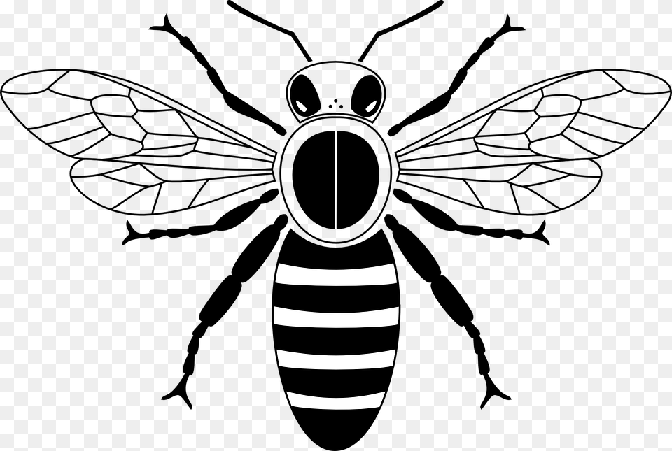 Honey Bee Clipart Black And White, Ammunition, Weapon, Bomb Free Png