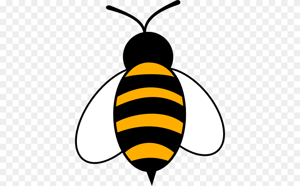 Honey Bee Colouring Pages, Animal, Honey Bee, Insect, Invertebrate Free Transparent Png