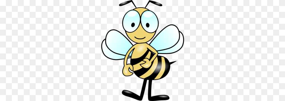 Honey Bee Insect Bumblebee Fly, Animal, Invertebrate, Honey Bee, Wasp Free Png Download