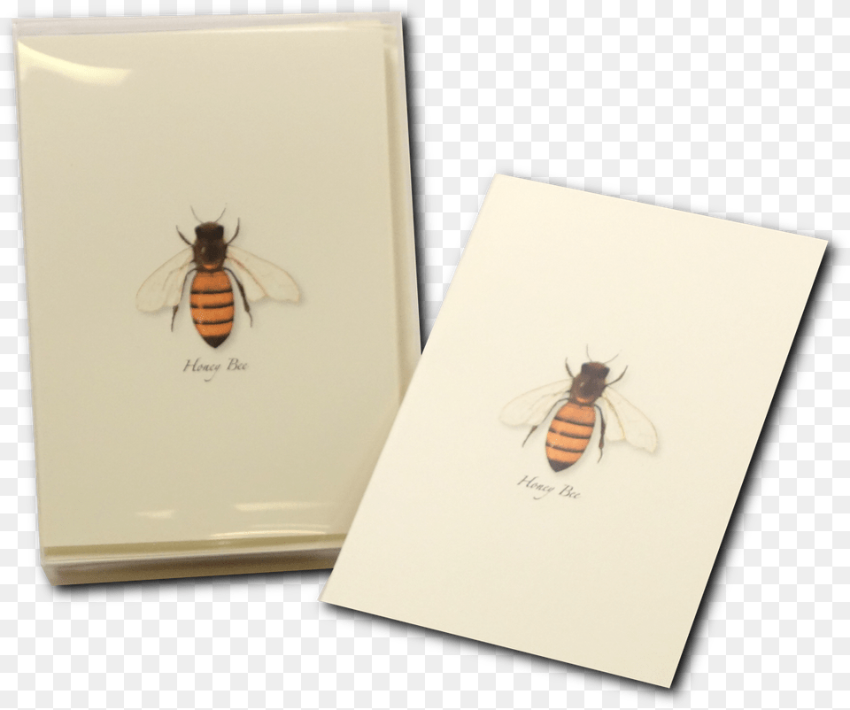 Honey Bee Notecard Honeybee Greeting Card Honeybee, Animal, Insect, Invertebrate, Wasp Png