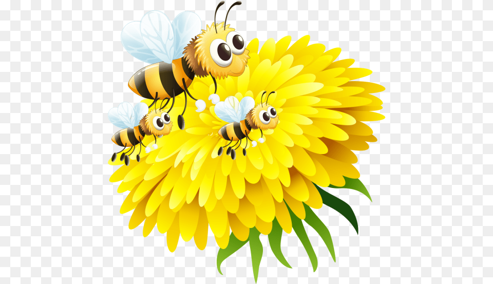 Honey Bee On Flower Bee And Flower, Animal, Honey Bee, Insect, Invertebrate Png