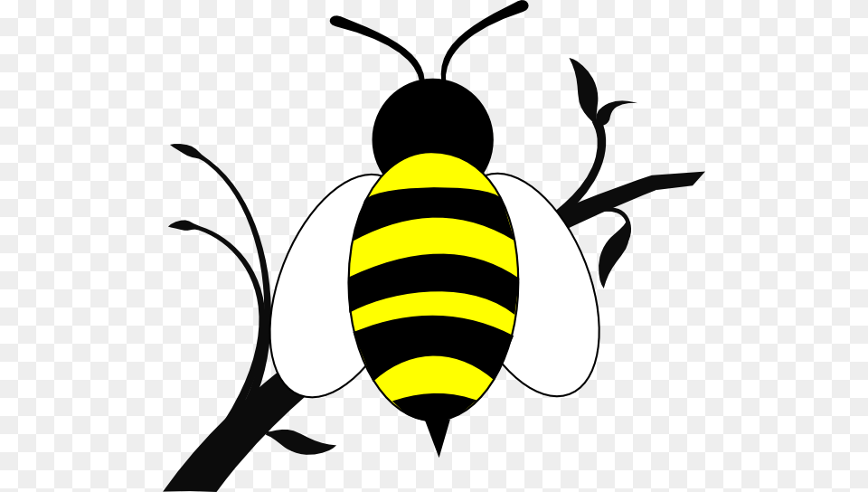 Honey Bee Over Branch Clip Art, Animal, Insect, Invertebrate, Wasp Png Image