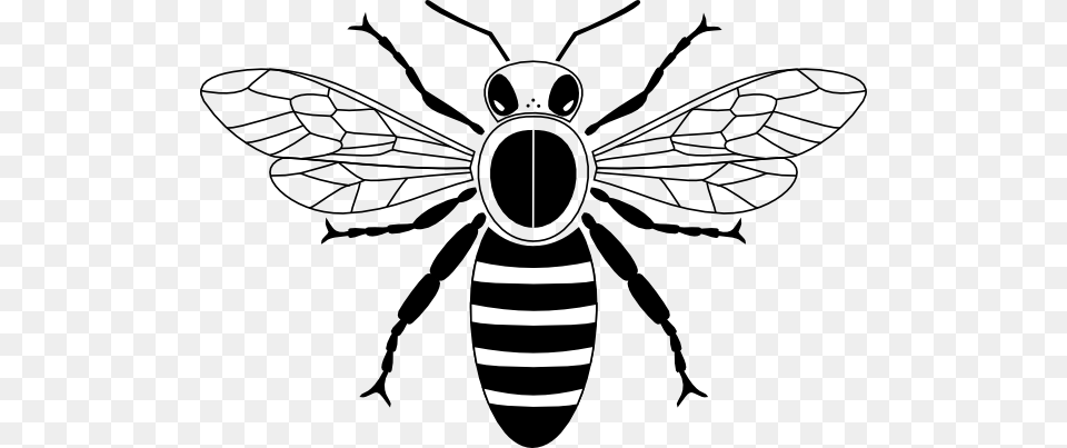Honey Bee Pictogram Clip Art, Animal, Insect, Invertebrate, Wasp Png Image