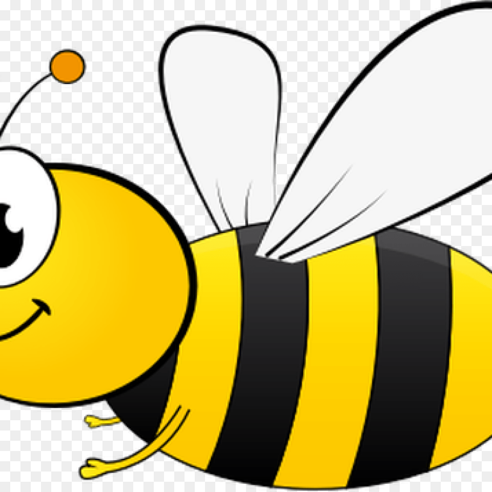 Honey Bee Pictures Clip Art Clipart Download, Animal, Insect, Invertebrate, Wasp Free Transparent Png
