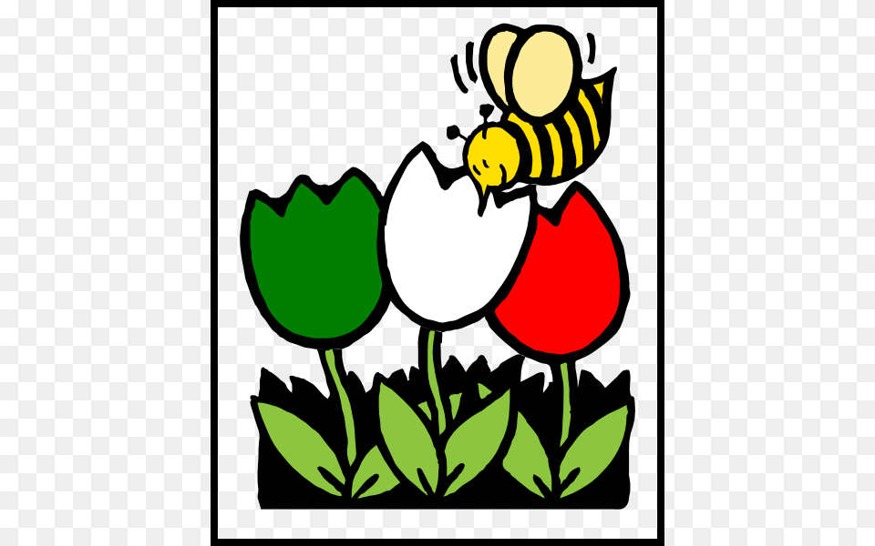 Honey Bee Pictures Colouring Pages, Animal, Invertebrate, Insect, Honey Bee Png Image