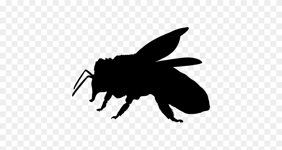 Honey Bee Silhouette, Animal, Insect, Invertebrate, Wasp Free Transparent Png