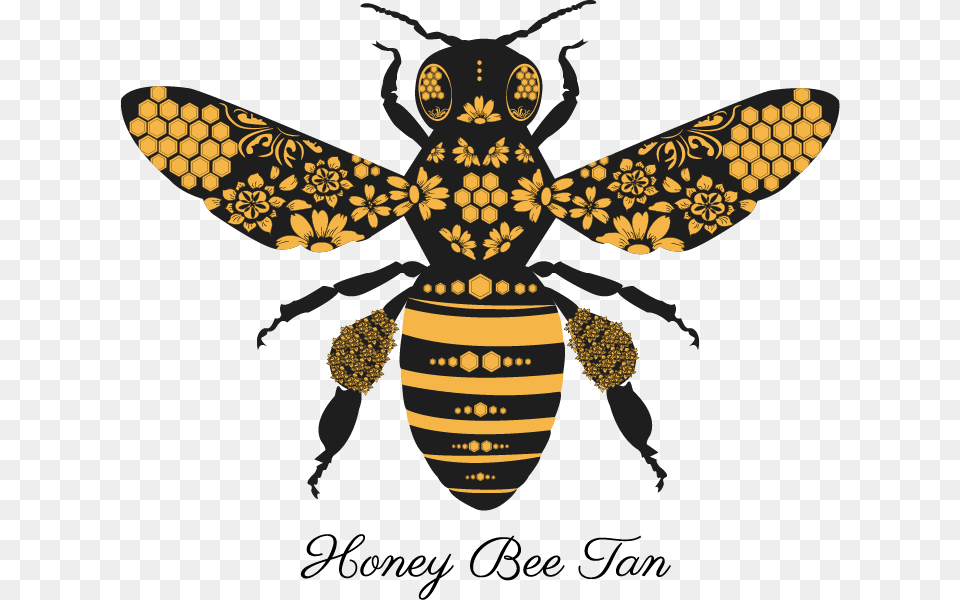 Honey Bee Tan Logo, Animal, Insect, Invertebrate, Wasp Png Image