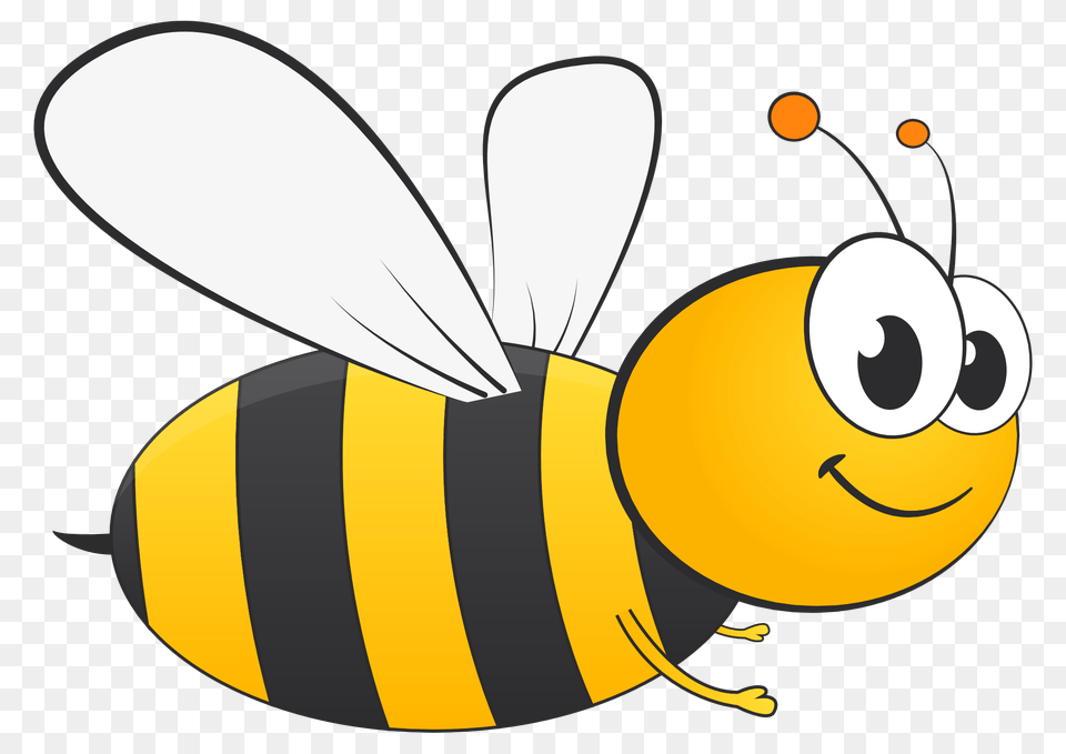 Honey Bee Vector Transparent, Animal, Honey Bee, Insect, Invertebrate Png
