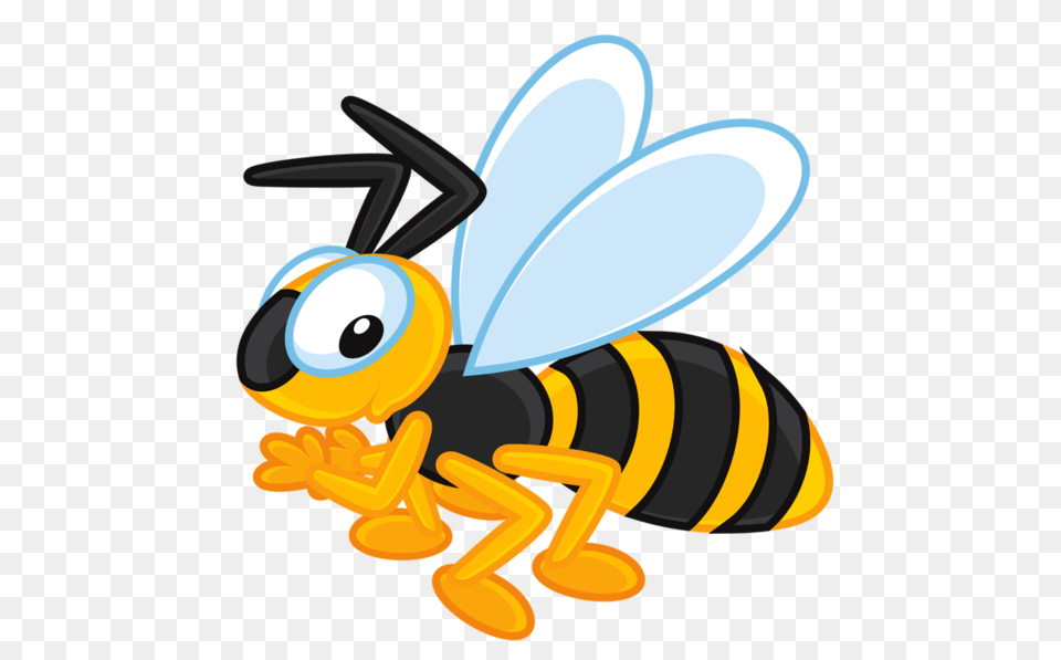 Honey Bees, Animal, Invertebrate, Insect, Honey Bee Free Png