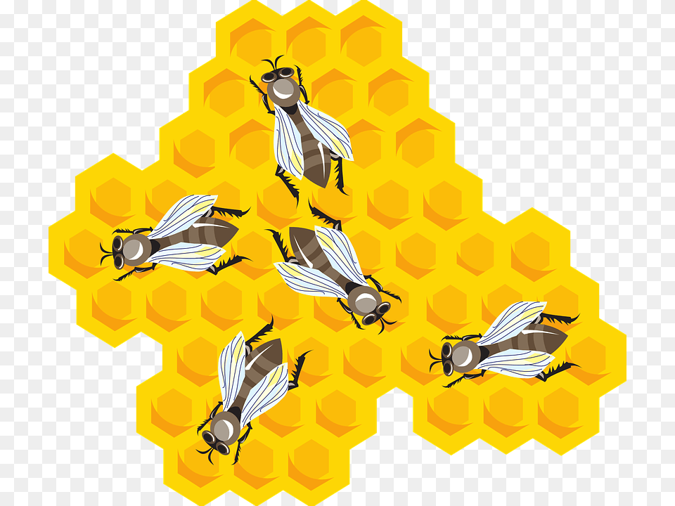 Honey Cartoon Hive Wax Bees Combs Bee Comb Beeswax Clipart, Animal, Invertebrate, Insect, Honey Bee Png Image