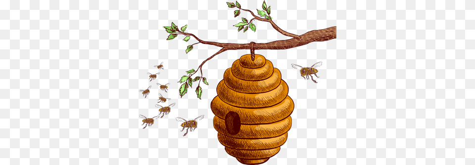 Honey Hive Honey Bee Hive, Animal, Honey Bee, Insect, Invertebrate Free Transparent Png