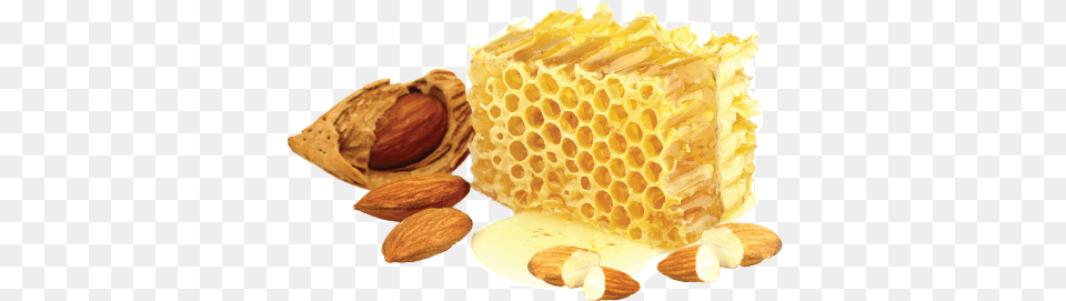 Honey Honey And Almond, Food, Produce, Grain, Seed Png Image