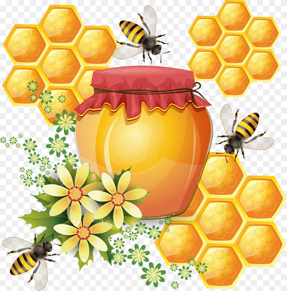 Honey Honeycomb Bee Free Png