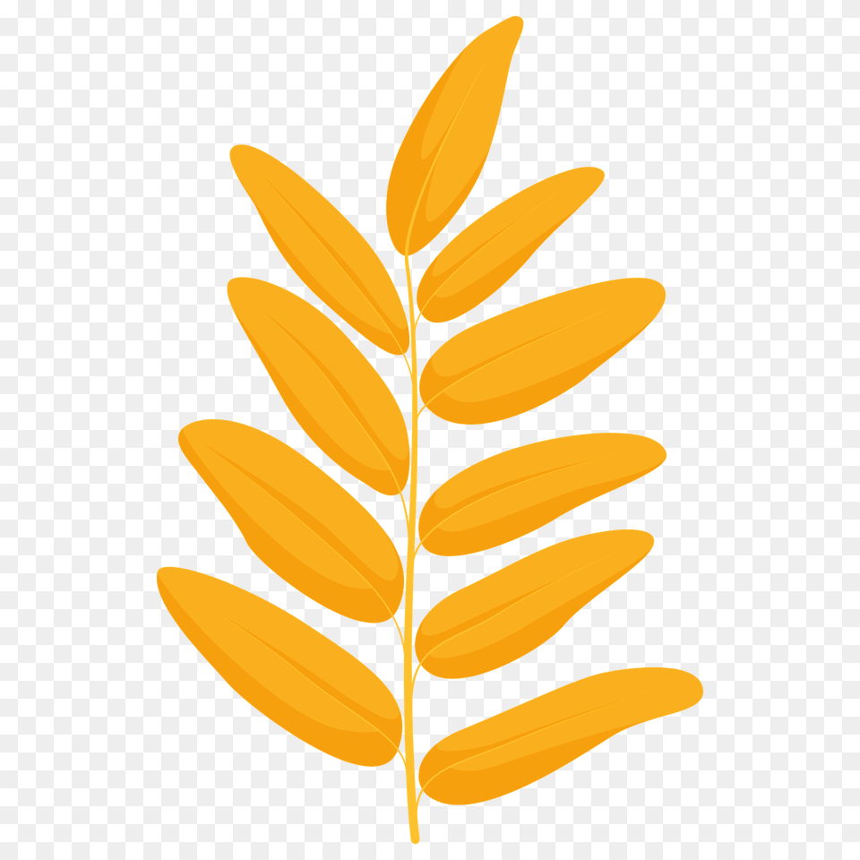Honey Locust Yellow Leaf Clipart, Plant, Flower, Vegetation, Tree Png Image