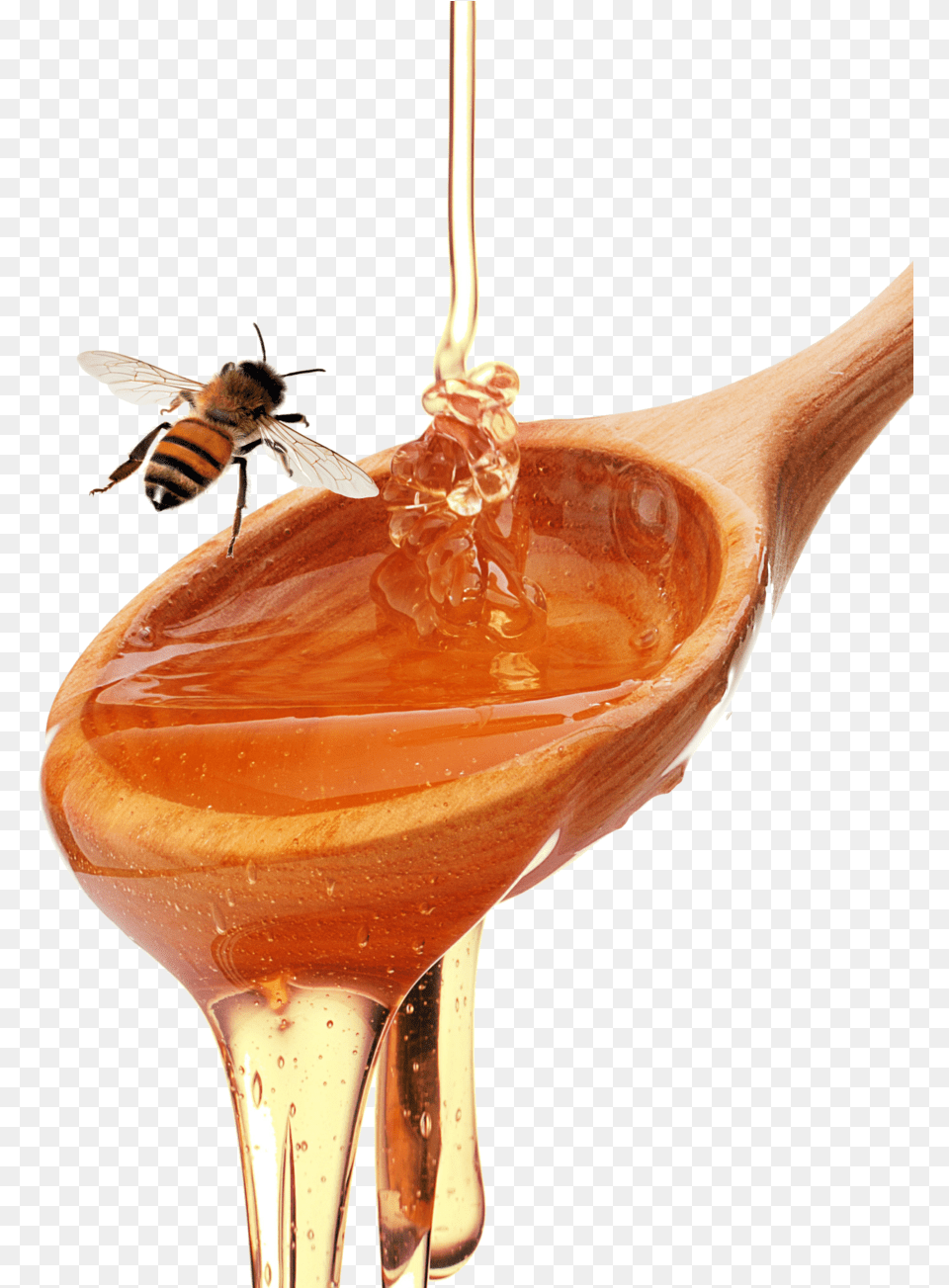 Honey Spoon Honeybee Honey Spoon, Food, Animal, Bee, Cutlery Free Transparent Png