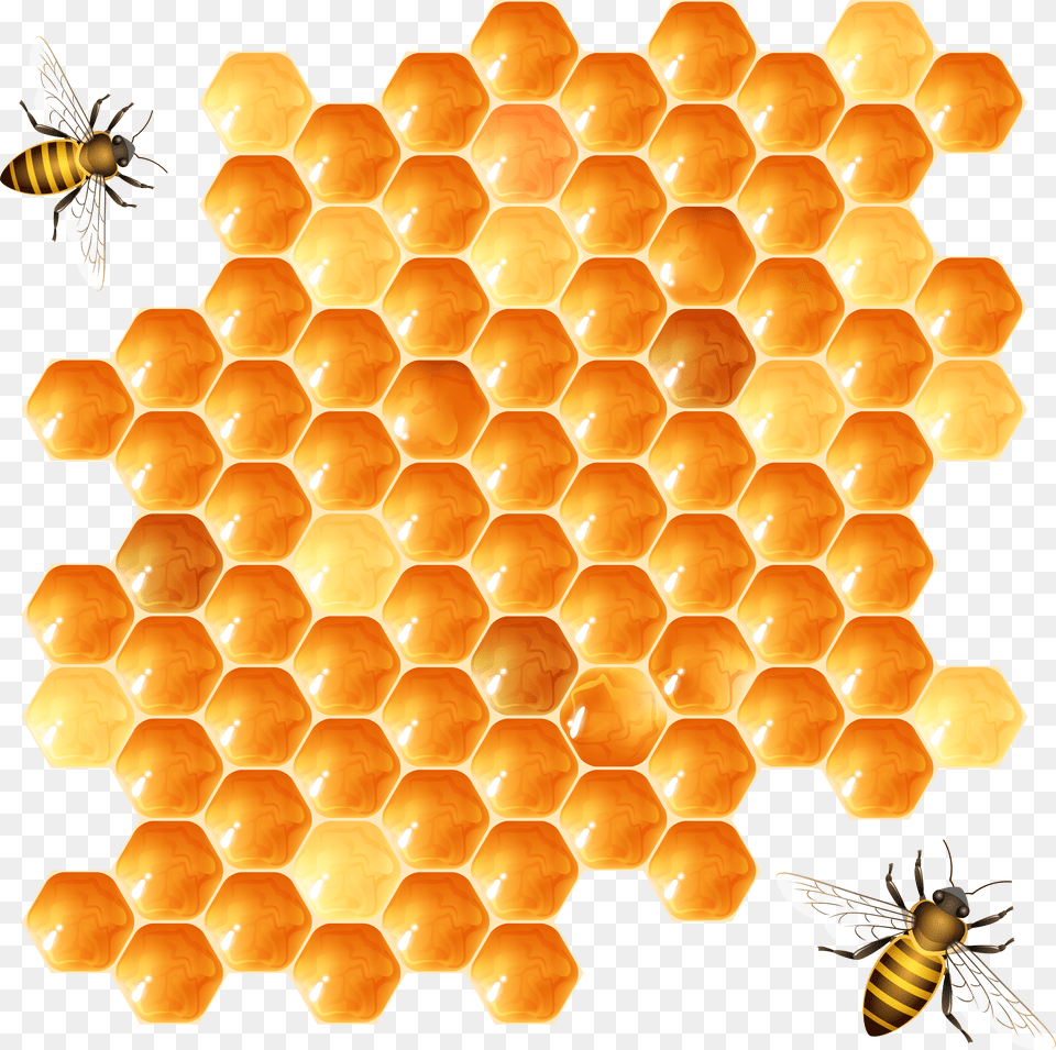 Honey Transparent, Art, Baby, Person, Face Free Png