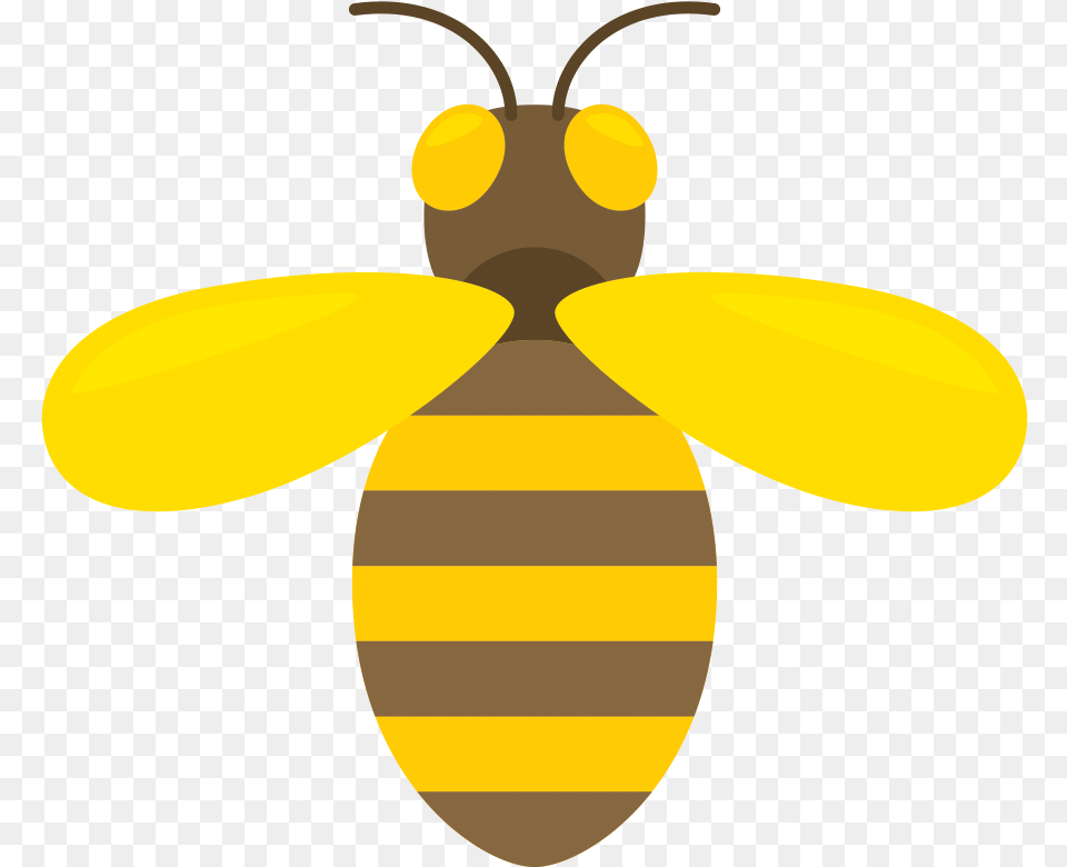 Honey Yellow Bee, Animal, Honey Bee, Insect, Invertebrate Png