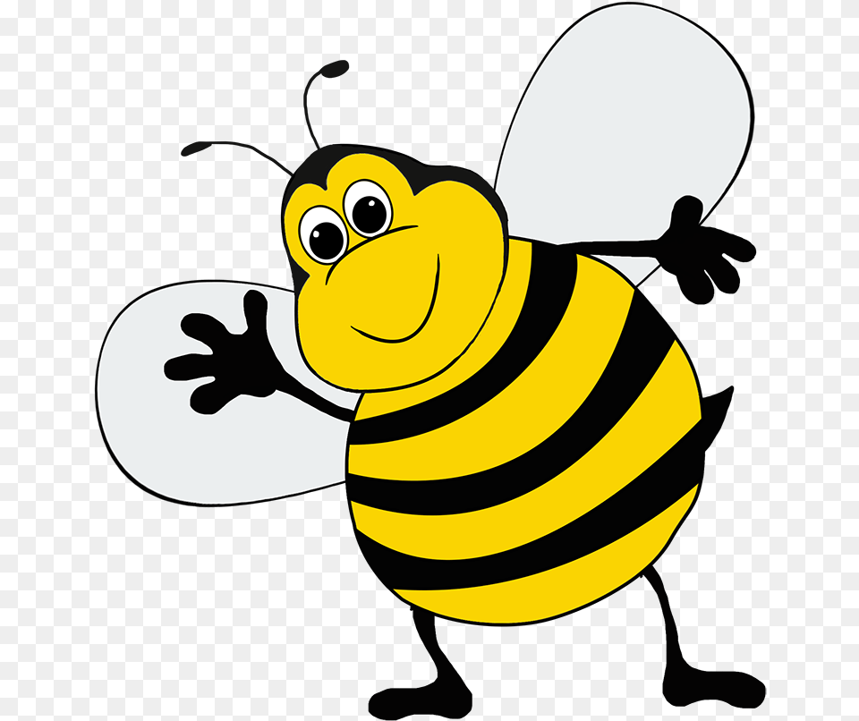 Honeybee, Animal, Invertebrate, Insect, Honey Bee Free Png