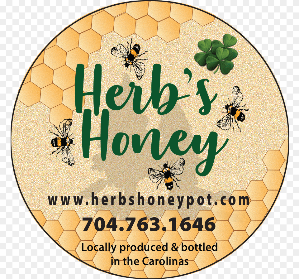 Honeybee, Animal, Bee, Insect, Invertebrate Free Png