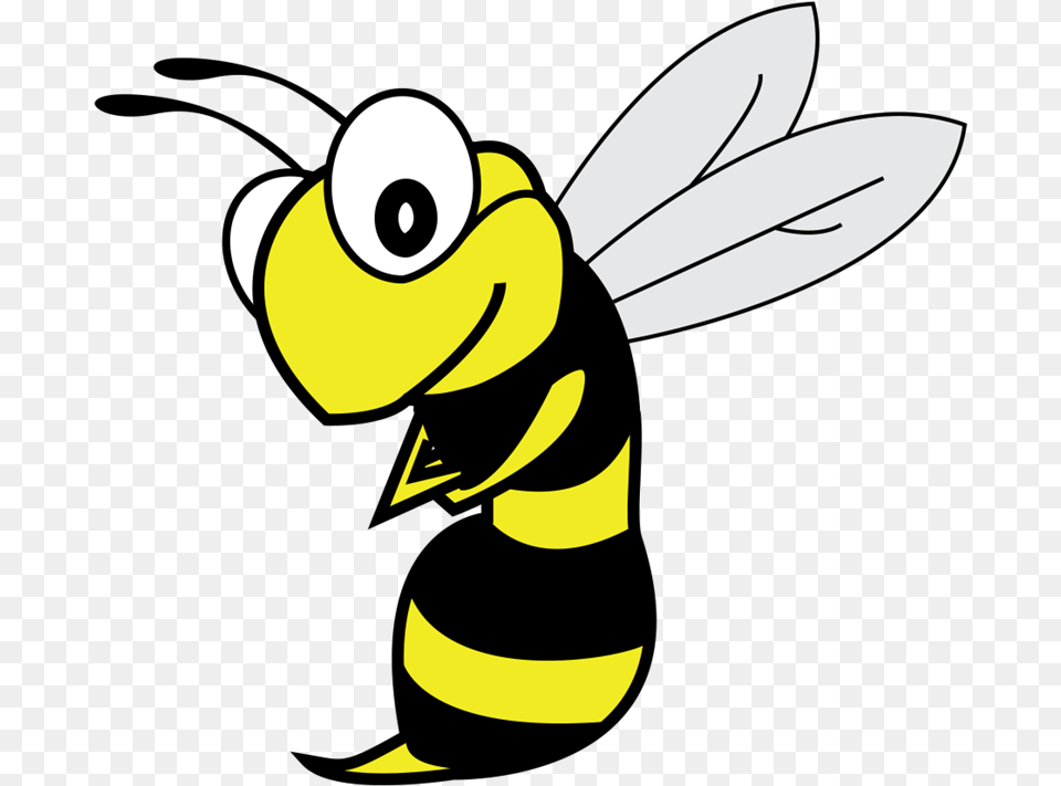 Honeybee, Animal, Bee, Insect, Invertebrate Free Png Download