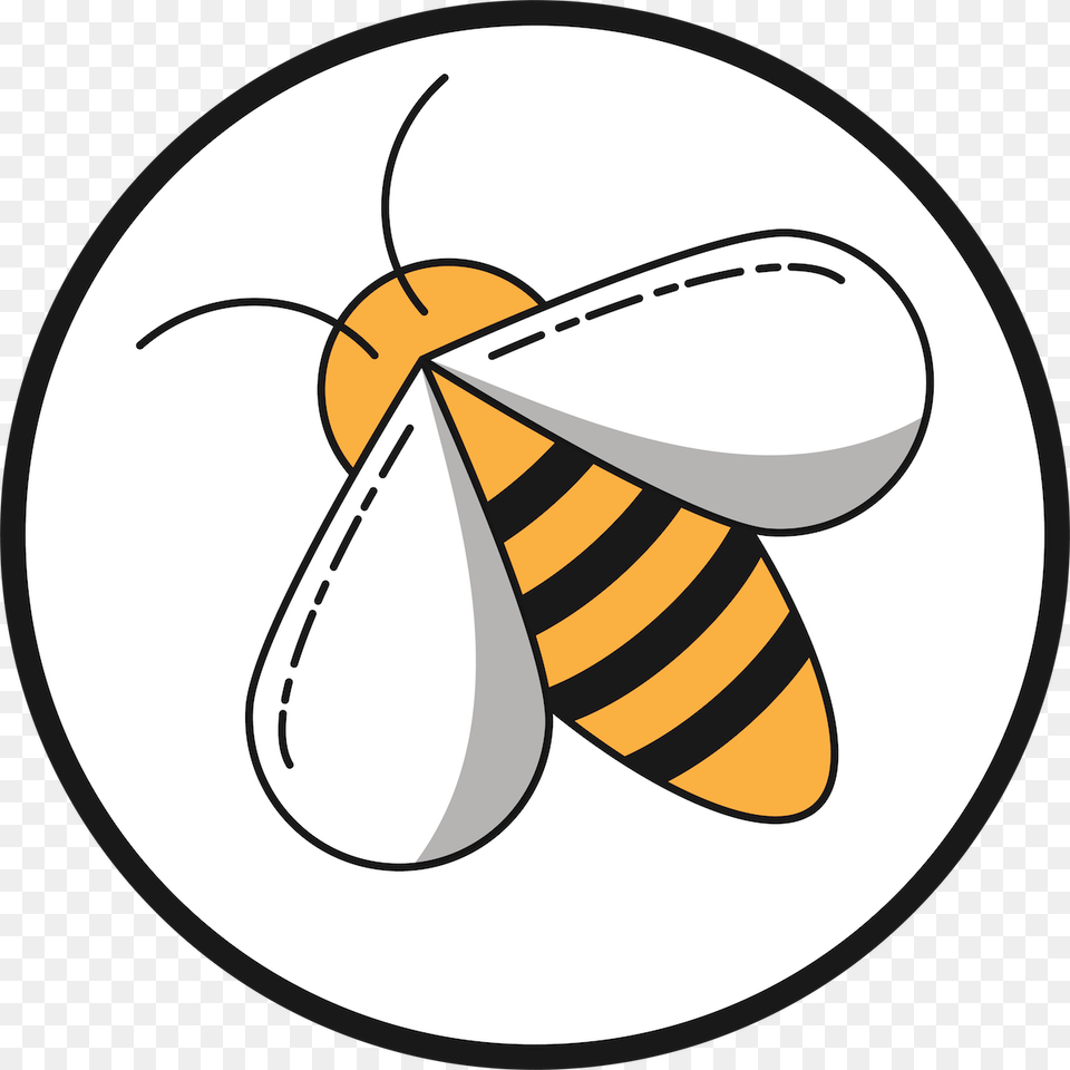 Honeybee, Animal, Bee, Insect, Invertebrate Free Png Download