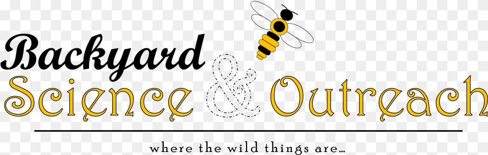 Honeybee, Text Free Transparent Png