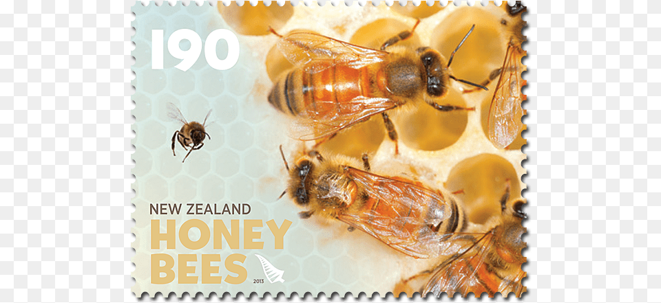 Honeybee, Animal, Bee, Honey Bee, Insect Png Image